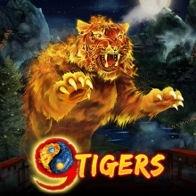 9 Tiikerit