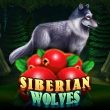 Siberian Wolves