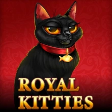 Königliche Kätzchen