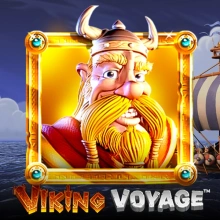 Viking Voyage