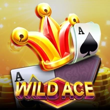 Wild Ace