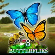 3 Schmetterlinge