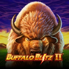 Buffalo Blitz 2