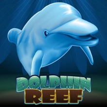 Dolphin Reef