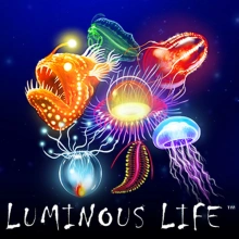 Luminous Life