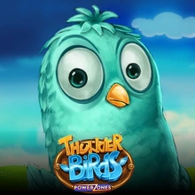 Power Zones: Thunder Birds