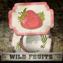 Wild Fruits