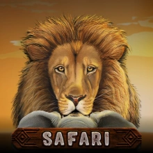 Safari