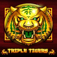 Tigres Triplos
