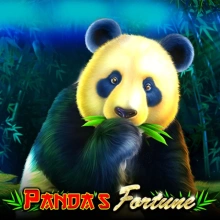A fortuna do panda