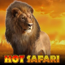 Safari quente