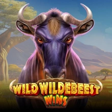 Ganha o Wildebeest selvagem