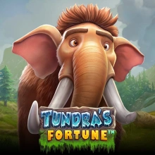 A fortuna da Tundra
