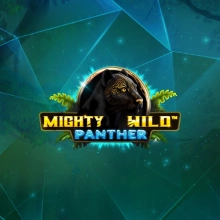 Mighty Wild: Panther Diamond polttolevy