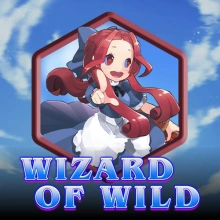 Wizard of Wild