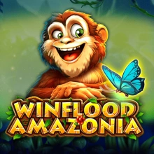 Winflood Amazônia