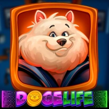 La vie de doge