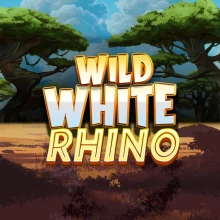 Rhinocéros blanc sauvage