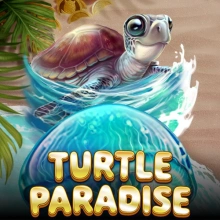 Turtle Paradise