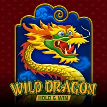 Wilder Drache HOLD&amp;WIN