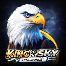 King of the Sky: Hit the Bonus