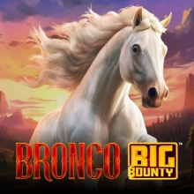 Bronco Big Bounty