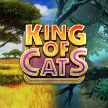 King of Cats