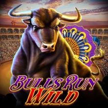 Bulls Run Wild