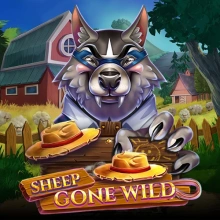 Sheep Gone Wild