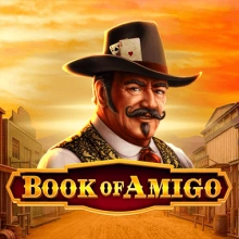Libro di Amigo