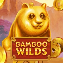 Wilds de bambou