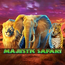 Safari majestueux