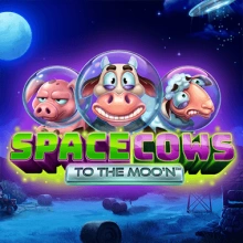 Les vaches de l'espace au Moo'n