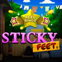 Sticky Feet + Reel Bingo