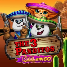 O 3 Panditos Reel Bingo