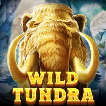 Wild Tundra