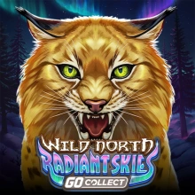 „Wild North – Strahlende Himmel“ – GO Collect