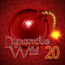 Dynamite Wild 20