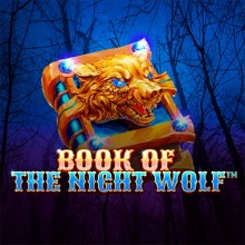 Book of The Night Wolf