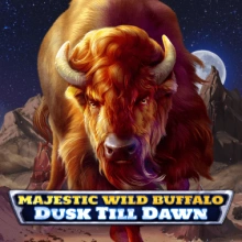 Majestic Wild Buffalo – Dusk Till Dawn