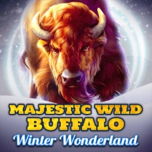 Majestic Wild Buffalo – Winter Wonderland