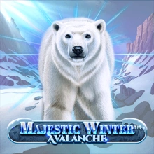 Majestic Winter – Avalanche