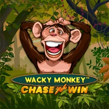 Wacky Monkey – Chase’N’Win