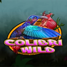 Colibri Selvagem