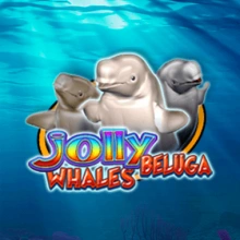 Baleias Beluga alegres