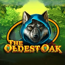 O carvalho mais antigo