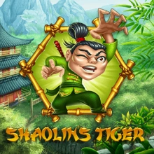 Shaolin’s Tiger