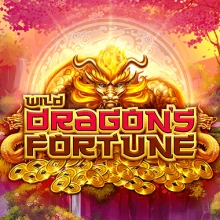 Wild Dragon’s Fortune