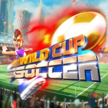 WILD Cup jalkapallo