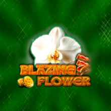 Flammende Blume